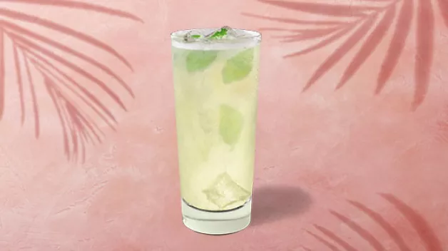 Lemon Mint Breeze